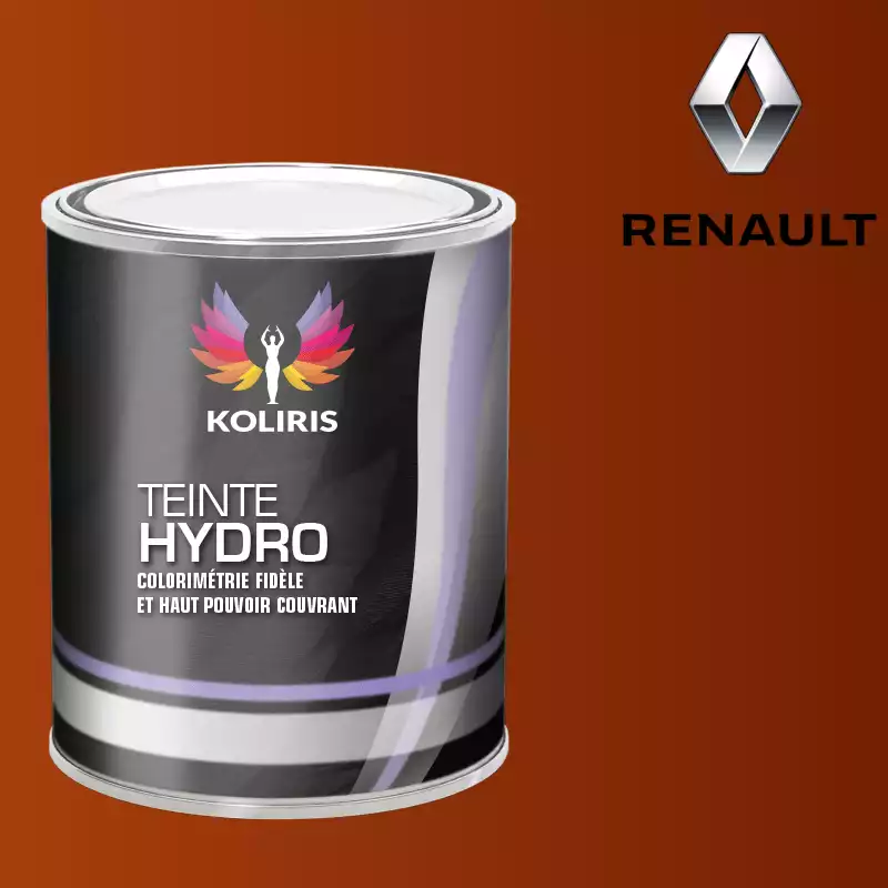 Peinture voiture hydro Renault