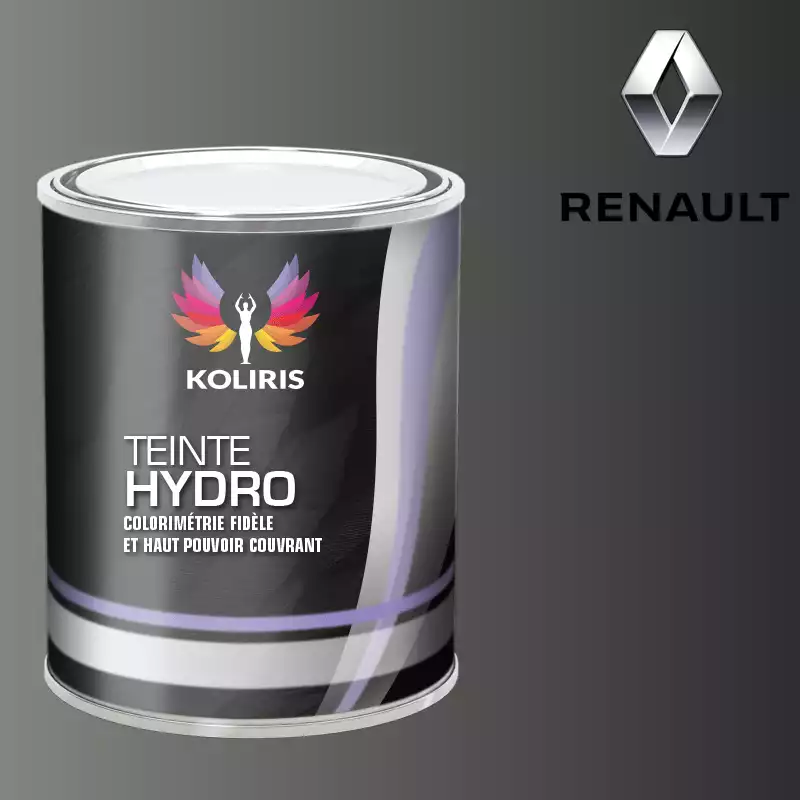 Peinture voiture hydro Renault