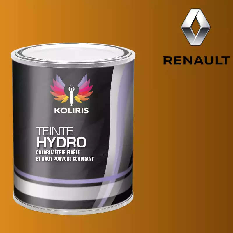 Peinture voiture hydro Renault