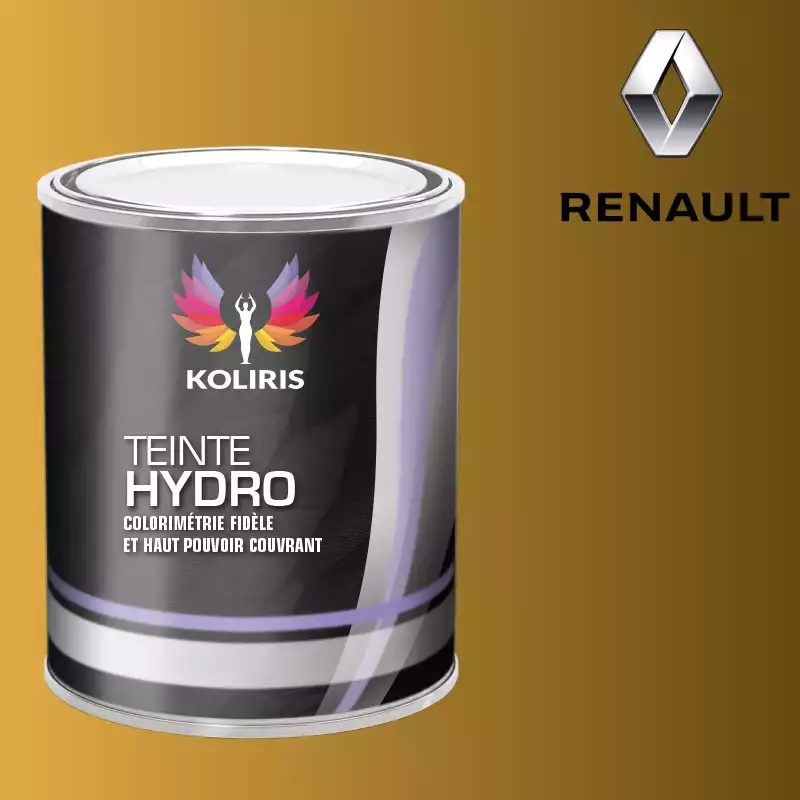 Peinture voiture hydro Renault