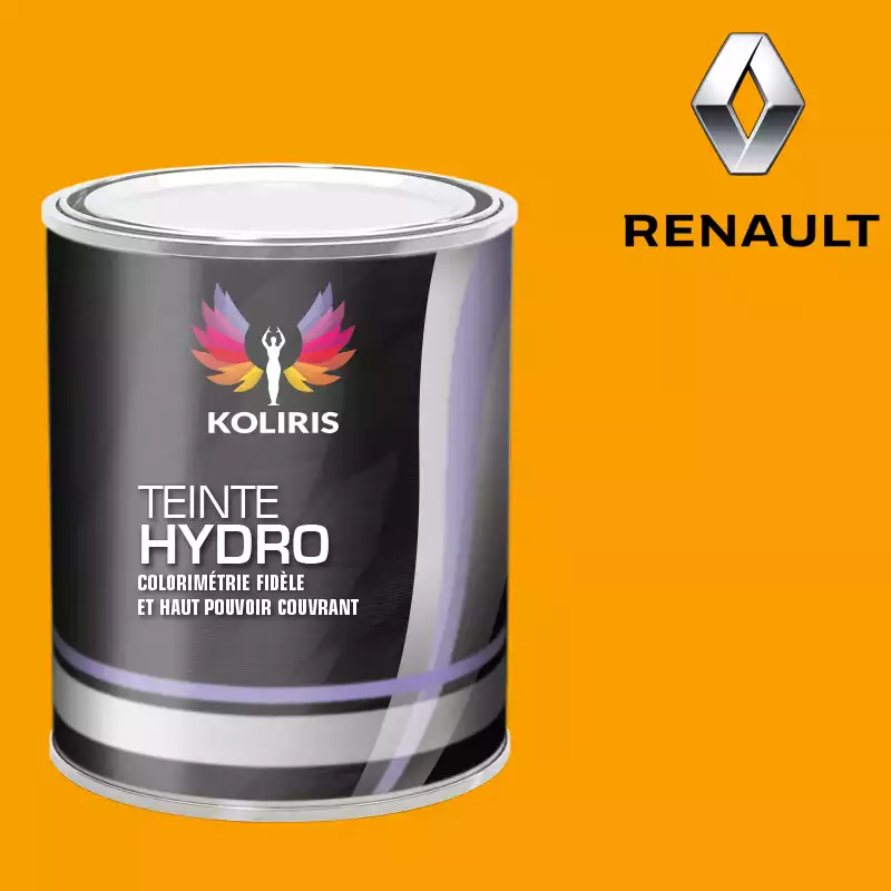 Peinture voiture hydro Renault