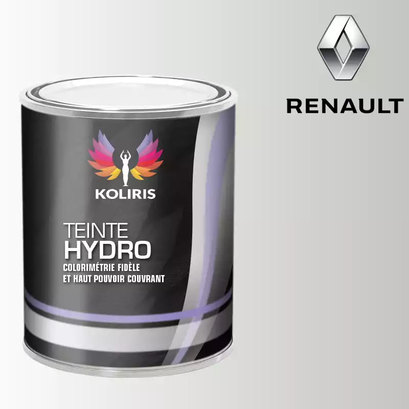 Peinture voiture hydro Renault