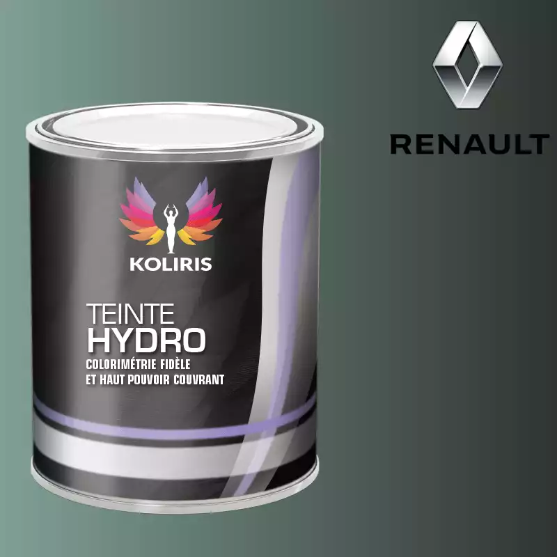 Peinture voiture hydro Renault