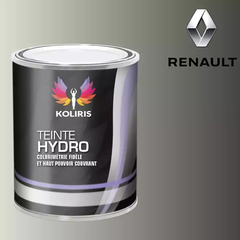 Peinture voiture hydro Renault