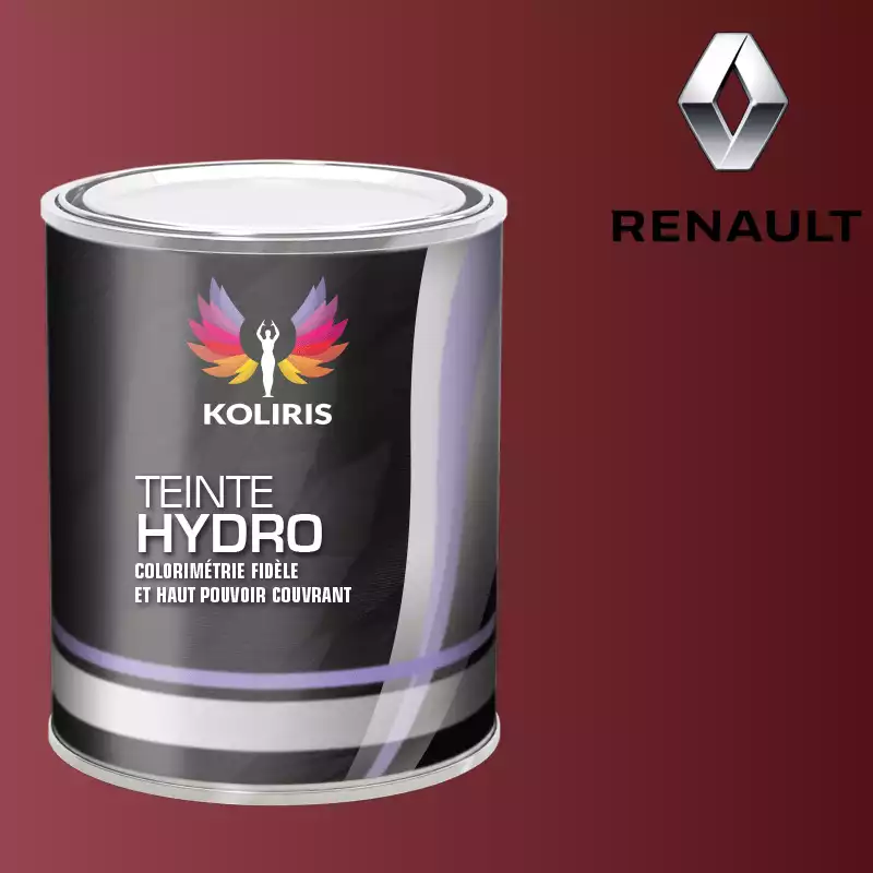 Peinture voiture hydro Renault