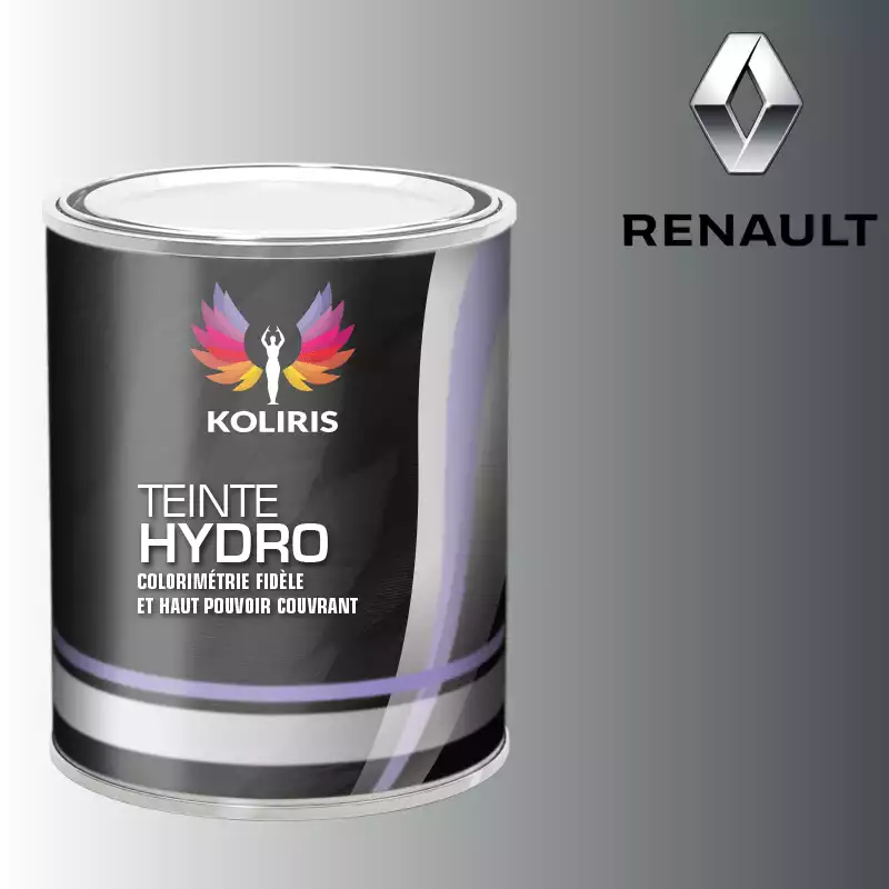 Peinture voiture hydro Renault