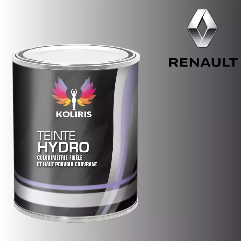 Peinture voiture hydro Renault