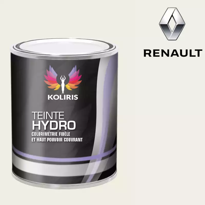 Peinture voiture hydro Renault