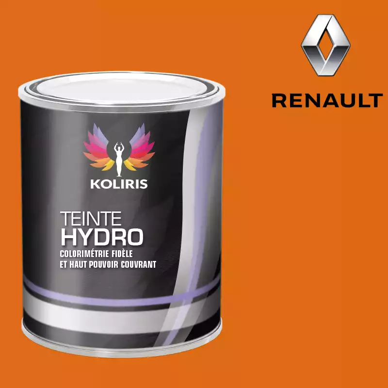 Peinture voiture hydro Renault