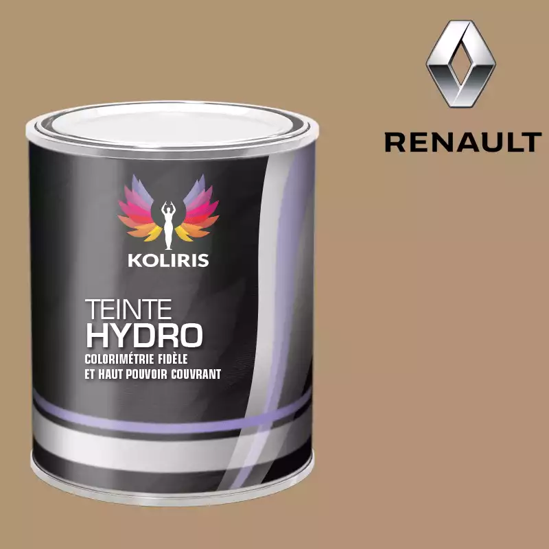 Peinture voiture hydro Renault