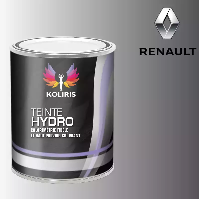 Peinture voiture hydro Renault