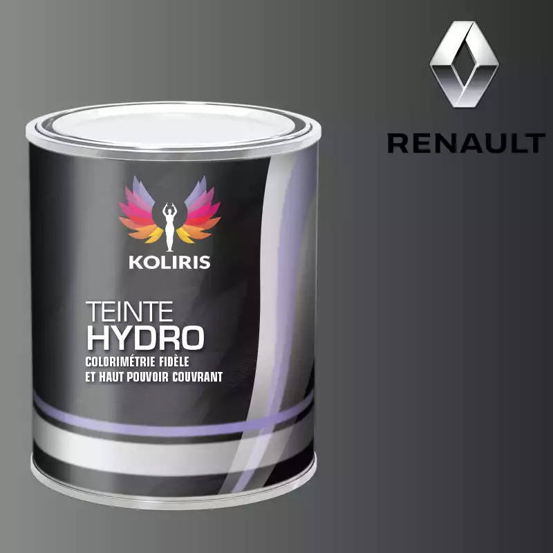 Peinture voiture hydro Renault