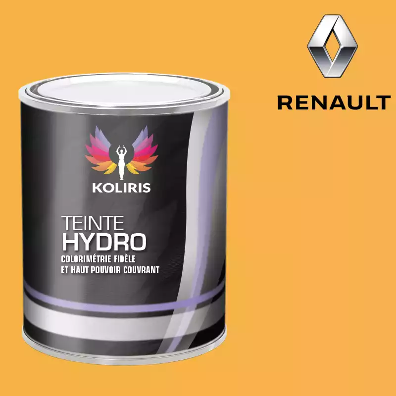 Peinture voiture hydro Renault