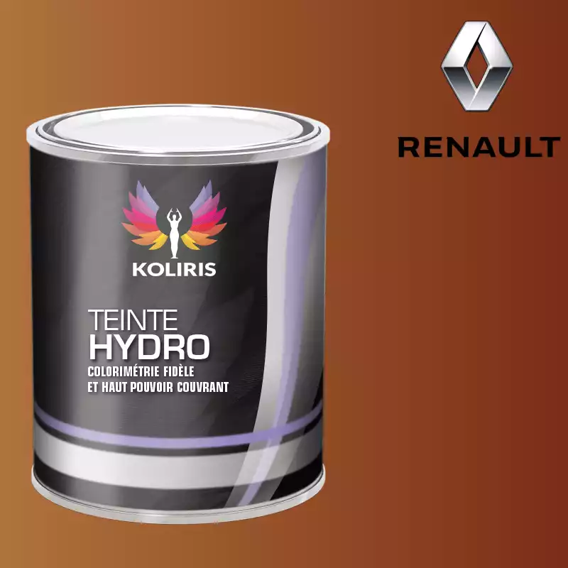 Peinture voiture hydro Renault