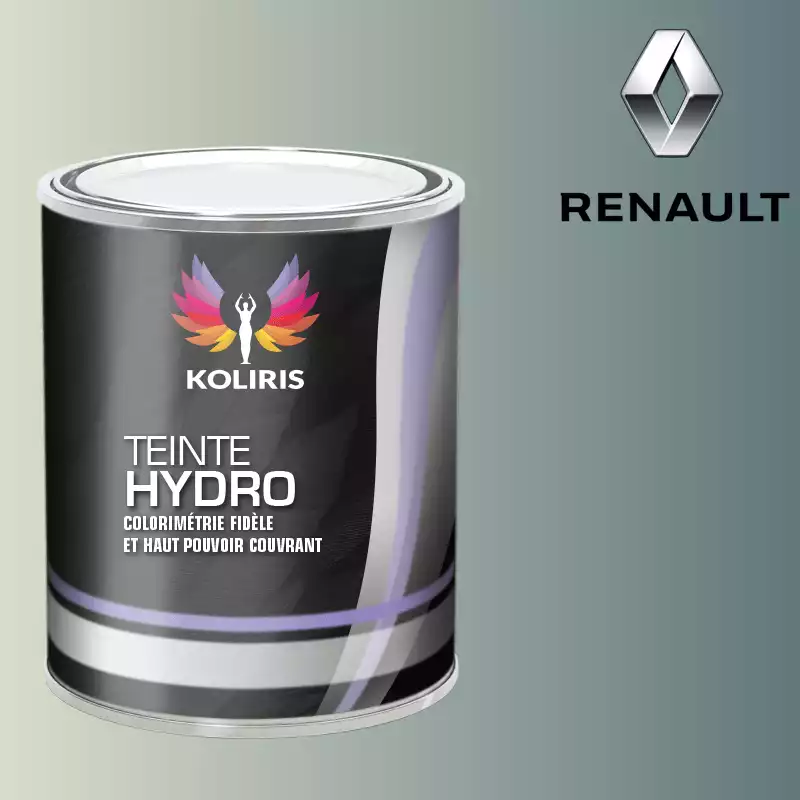 Peinture voiture hydro Renault