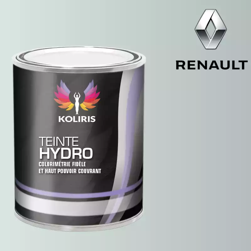 Peinture voiture hydro Renault