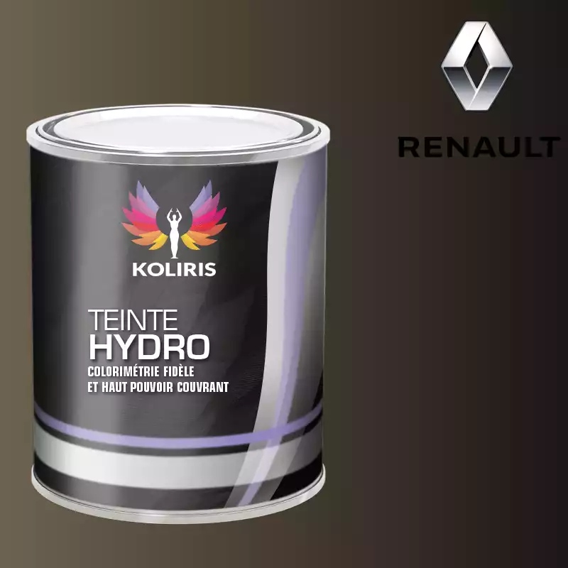 Peinture voiture hydro Renault