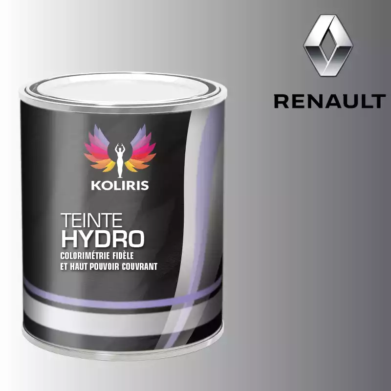 Peinture voiture hydro Renault