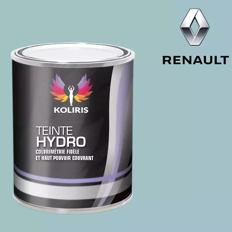 Peinture voiture hydro Renault