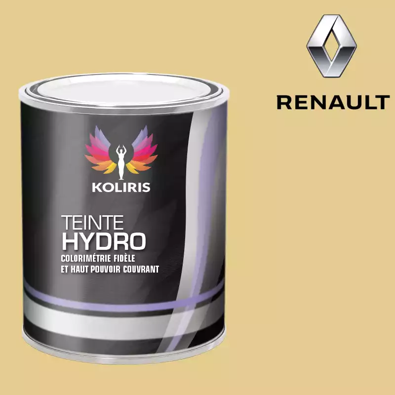 Peinture voiture hydro Renault