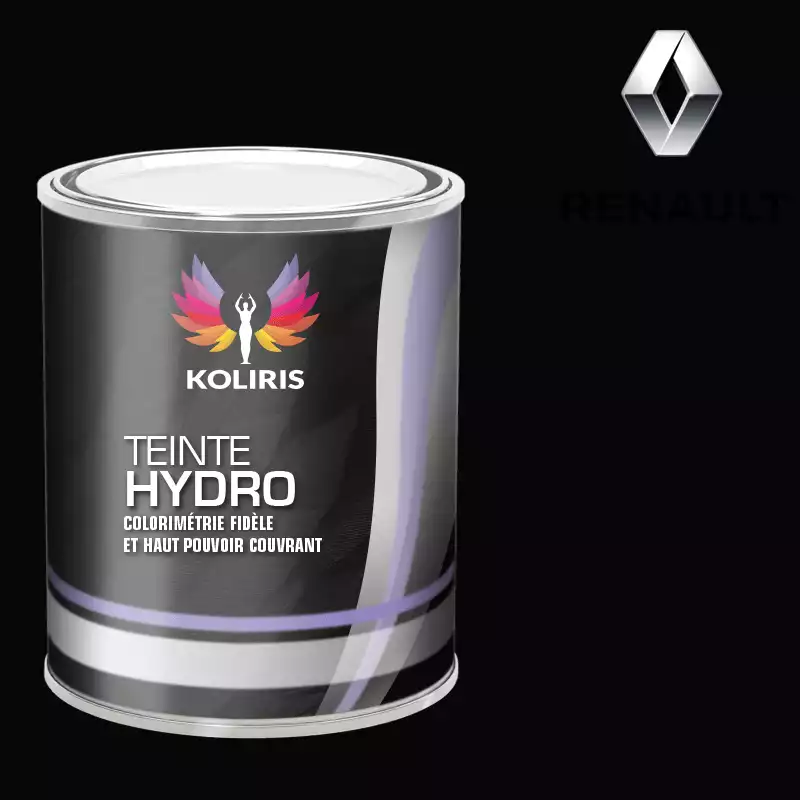 Peinture voiture hydro Renault