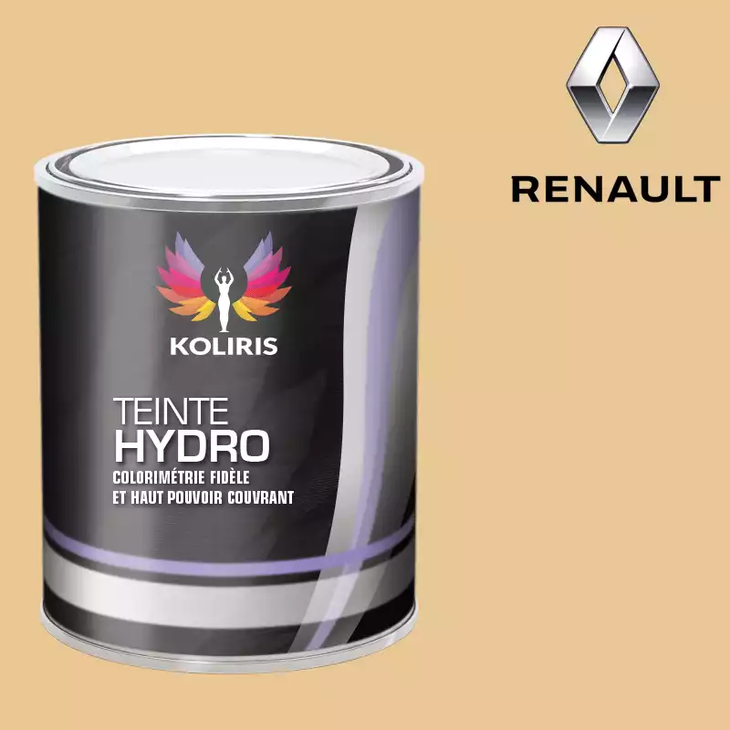 Peinture voiture hydro Renault