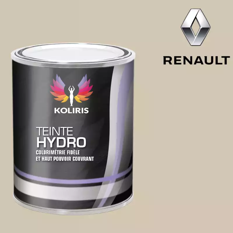 Peinture voiture hydro Renault