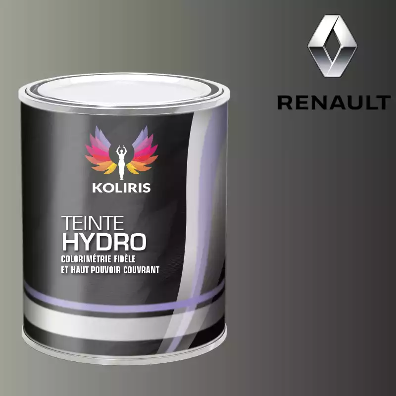 Peinture voiture hydro Renault