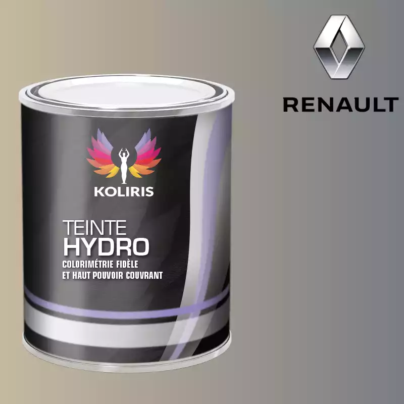 Peinture voiture hydro Renault