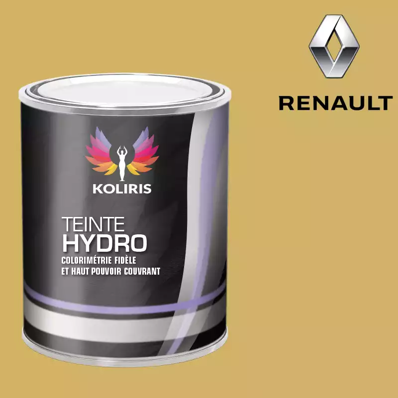 Peinture voiture hydro Renault