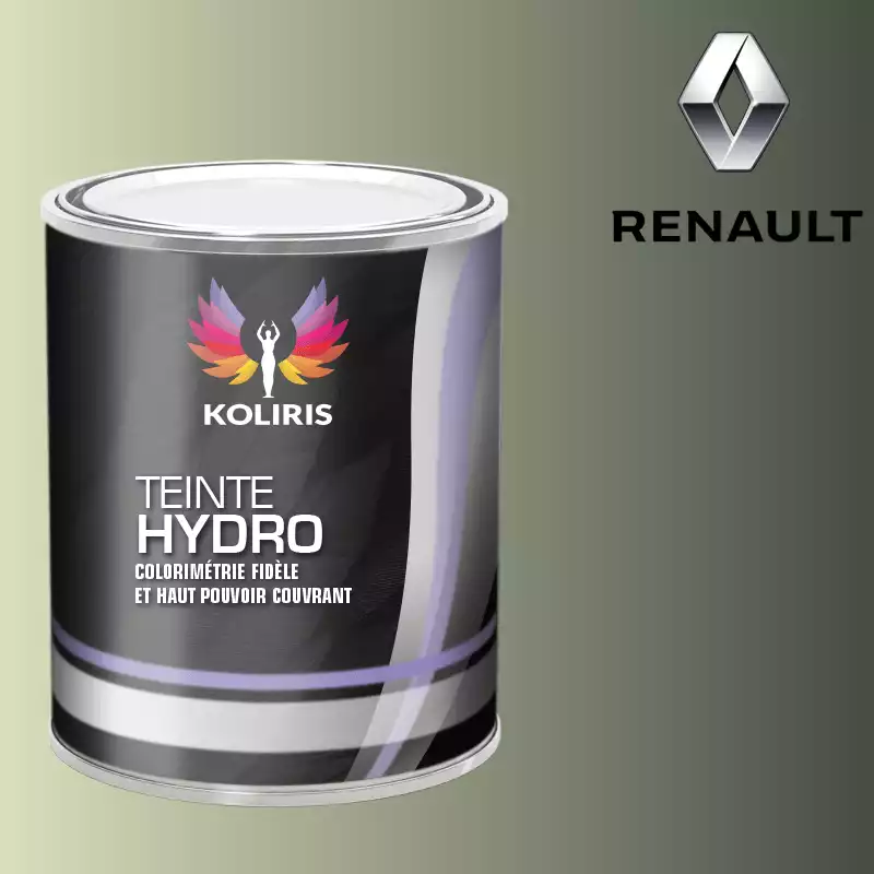 Peinture voiture hydro Renault