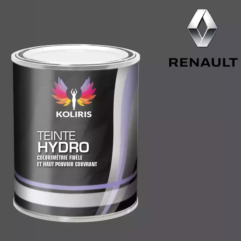 Peinture voiture hydro Renault