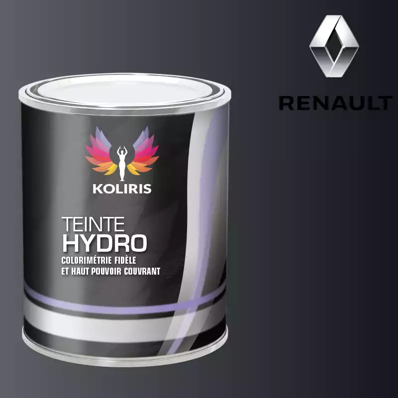 Peinture voiture hydro Renault