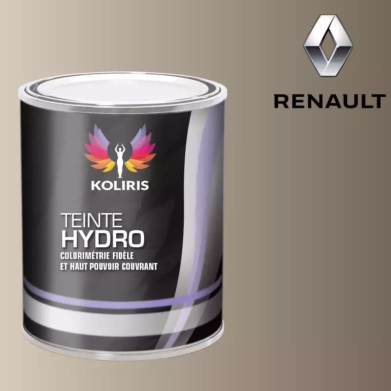 Peinture voiture hydro Renault