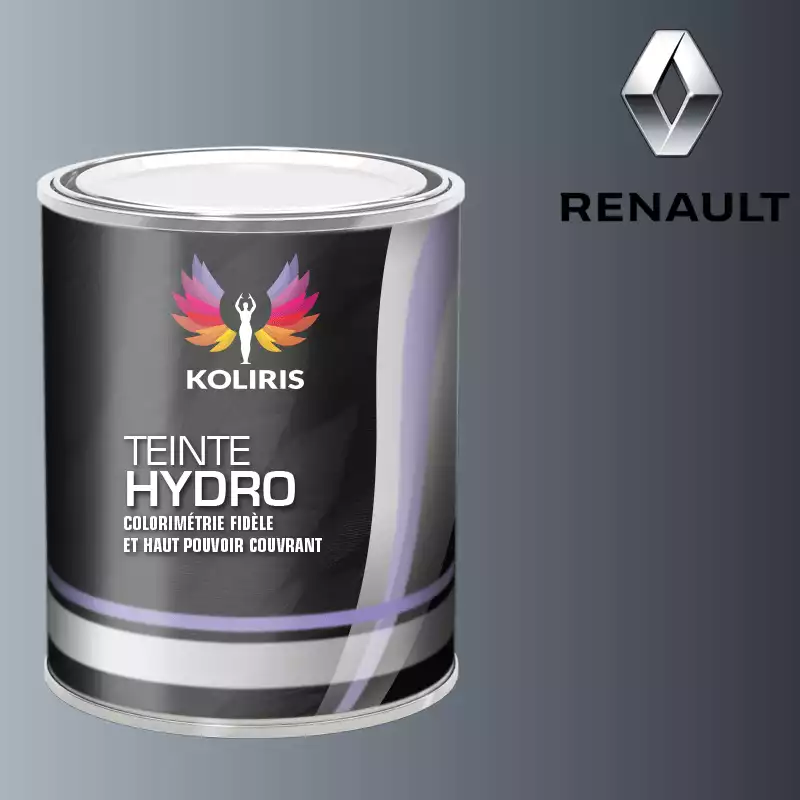 Peinture voiture hydro Renault