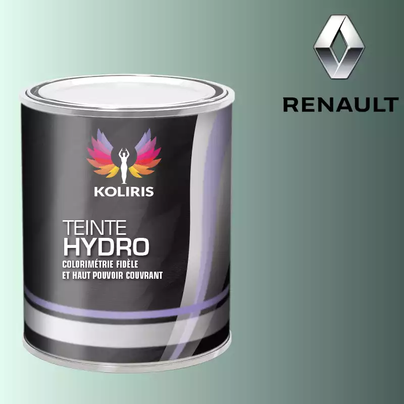 Peinture voiture hydro Renault