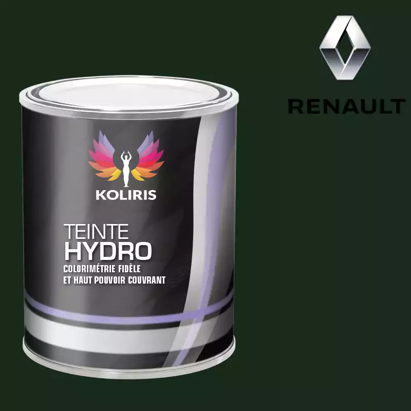 Peinture voiture hydro Renault