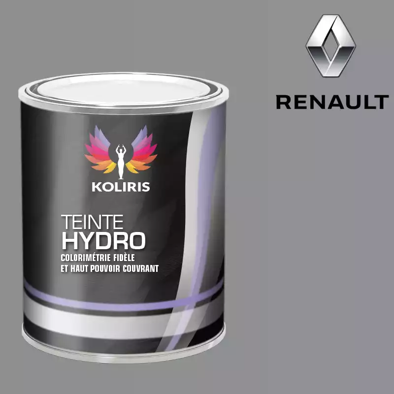 Peinture voiture hydro Renault