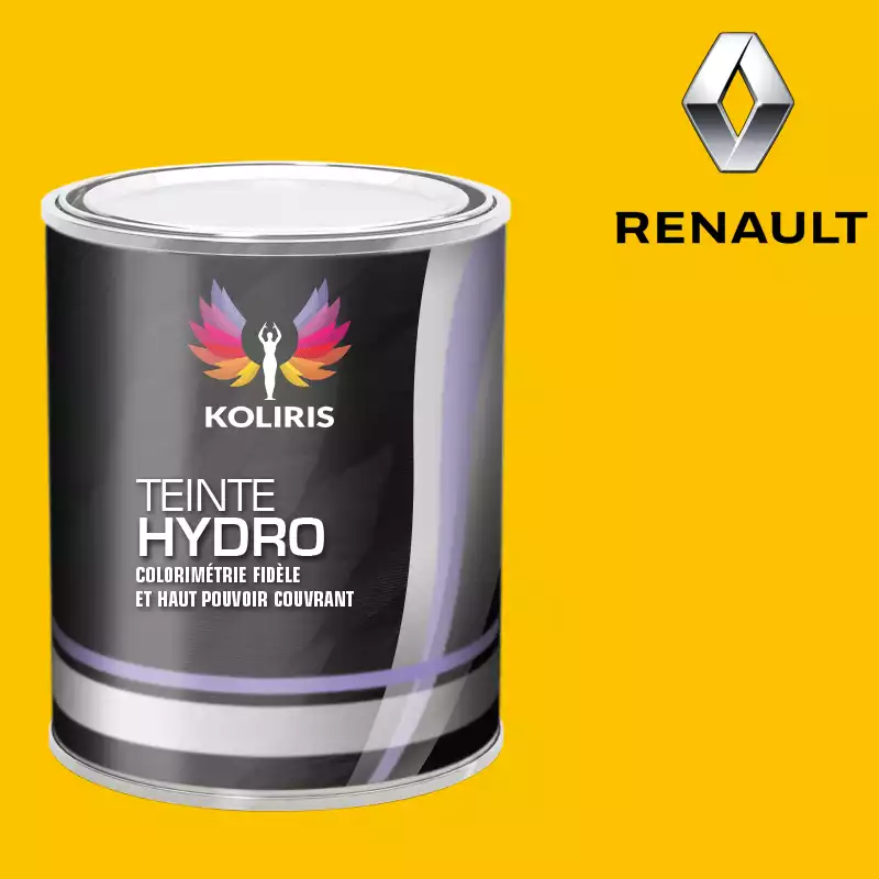 Peinture voiture hydro Renault