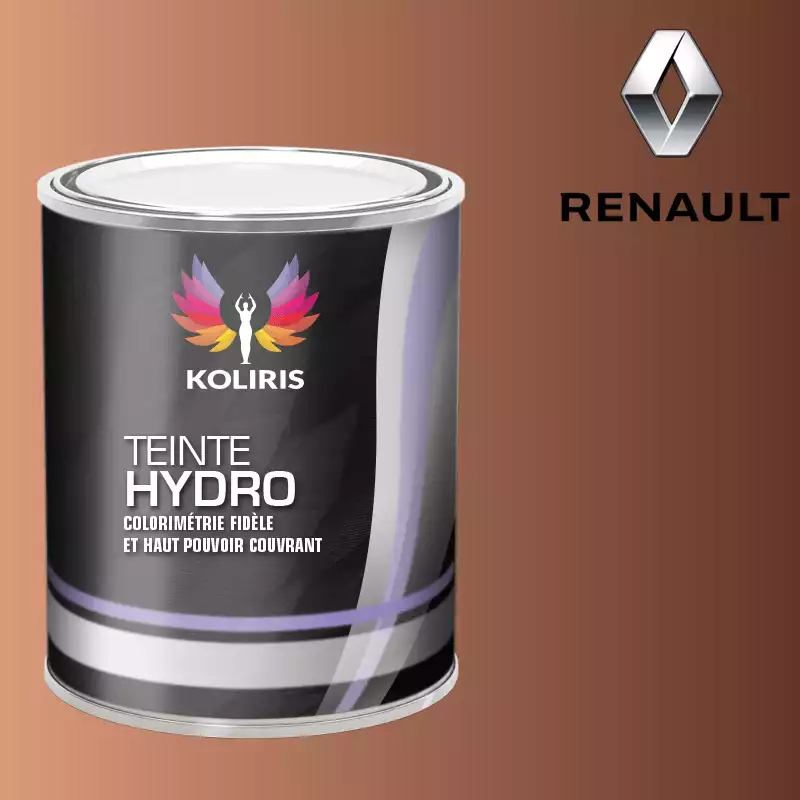 Peinture voiture hydro Renault