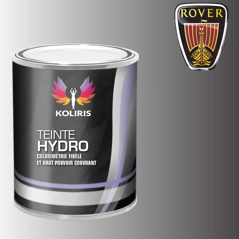 Peinture voiture hydro Rover