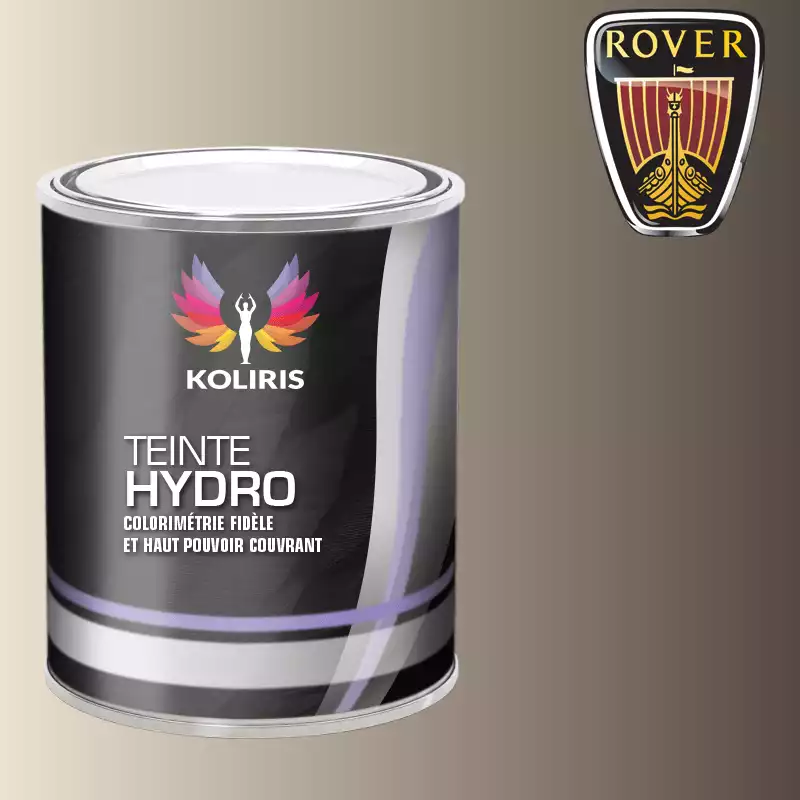 Peinture voiture hydro Rover