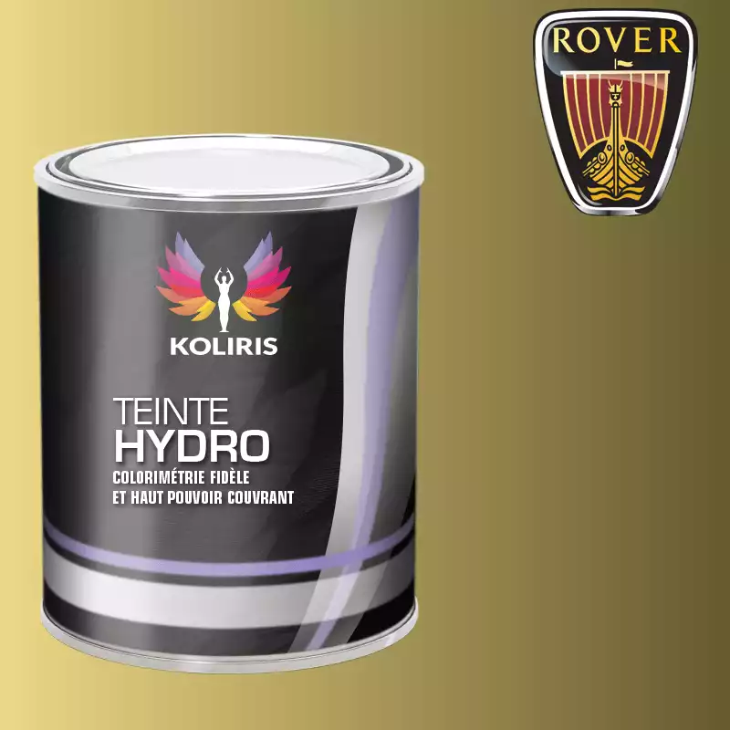 Peinture voiture hydro Rover