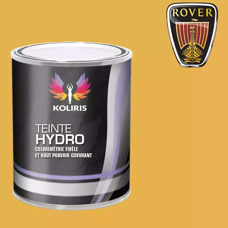 Peinture voiture hydro Rover