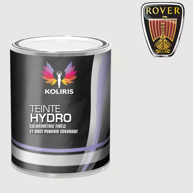 Peinture voiture hydro Rover