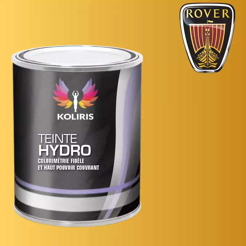 Peinture voiture hydro Rover