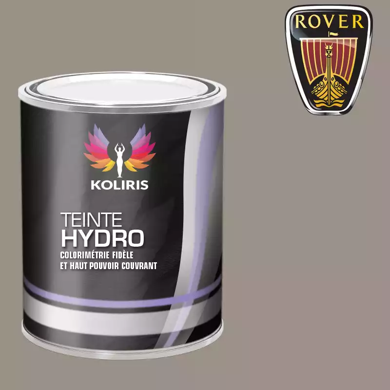 Peinture voiture hydro Rover