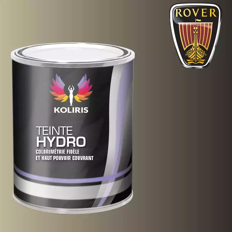 Peinture voiture hydro Rover