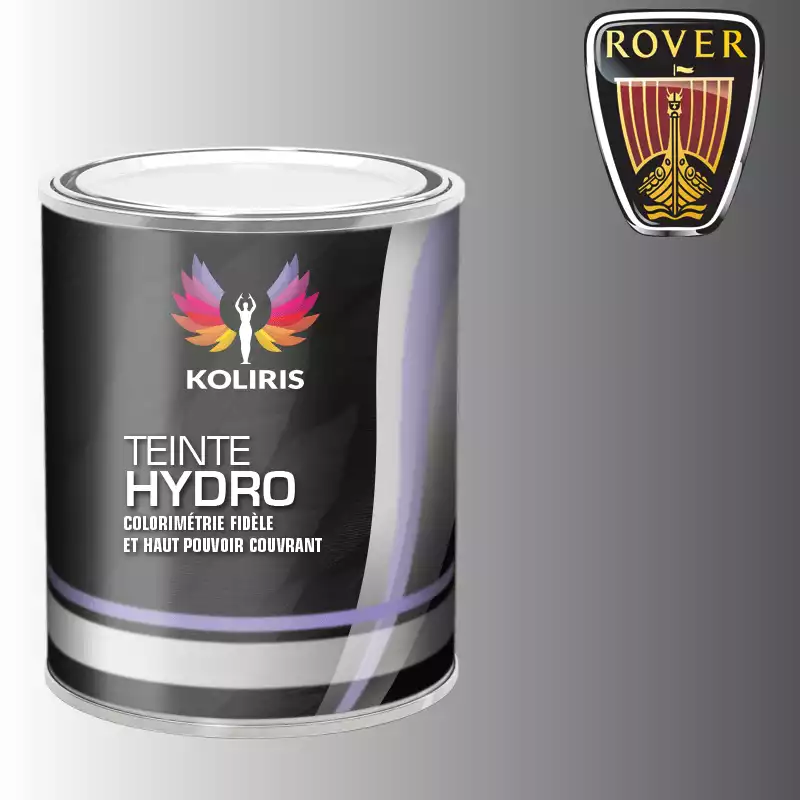 Peinture voiture hydro Rover