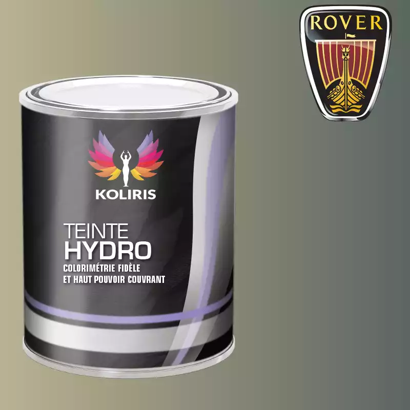 Peinture voiture hydro Rover